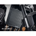 EP Honda CB1000R Neo Sports Cafe Radiator Guard EP Honda CB1000R Neo Sports Cafe Radiator Guard
