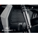 EP Ducati Streetfighter V2 Radiator Guard Set (2022+)